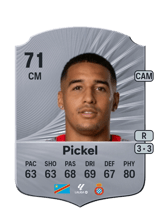 Pickel 71
