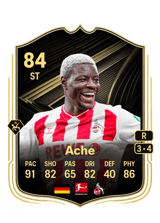 Ache 84