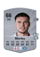 Morley 66