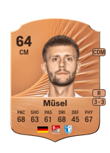 Müsel 64
