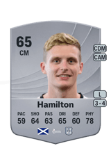 Hamilton 65