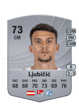 Ljubičić 73