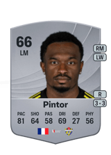 Pintor 66