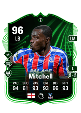 Mitchell 96