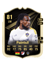 Paintsil 81