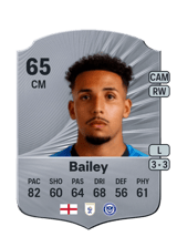 Bailey 65