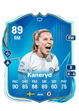 Kaneryd 89