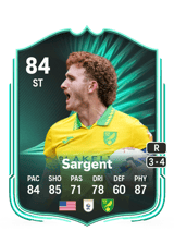 Sargent 84
