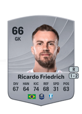 Ricardo Friedrich 66