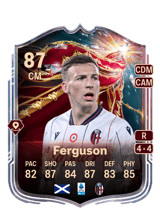 Ferguson 87