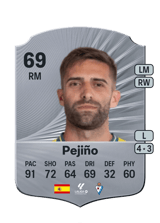 Pejiño 69