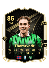 Thorstvedt 86