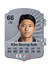 Kim Seung Sub 66