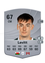 Levitt 67
