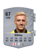 Sibley 67