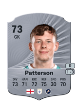 Patterson 73