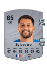 Sylvestre 65