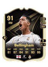 Bellingham 91