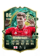Anderson 86