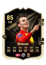 Breum 85