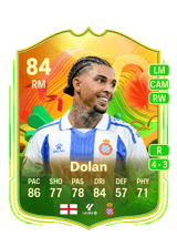 Dolan 84