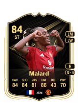 Malard 84