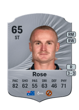 Rose 65