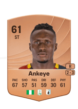 Ankeye 61