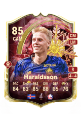Haraldsson 85