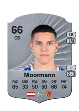 Moormann 66
