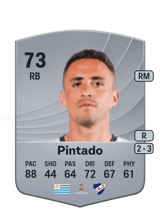 Pintado 73