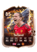 Terland 85