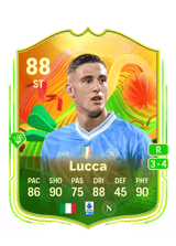 Lucca 88