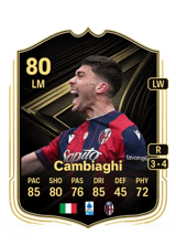 Cambiaghi 80