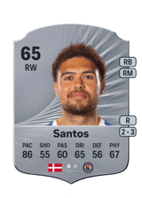 Santos 65