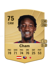 Cham 75