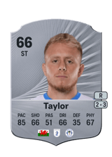 Taylor 66