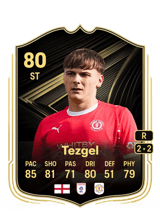 Tezgel 80