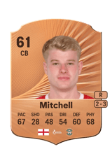 Mitchell 61