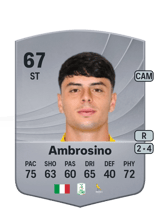 Ambrosino 67