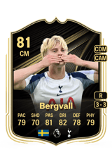 Bergvall 81