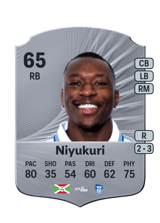 Niyukuri 65