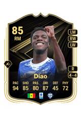 Diao 85