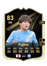 Fujino 83