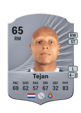Tejan 65