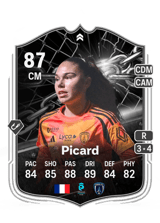 Picard 87