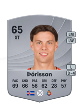 Þórisson 65