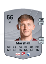 Marshall 66