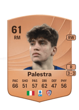 Palestra 61