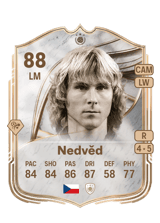Nedvěd 88